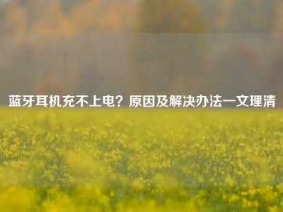 蓝牙耳机充不上电？原因及解决办法一文理清