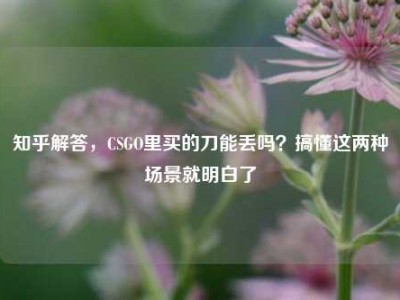 知乎解答，CSGO里买的刀能丢吗？搞懂这两种场景就明白了