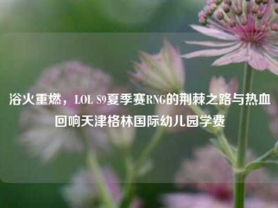 浴火重燃，LOL S9夏季赛RNG的荆棘之路与热血回响天津格林国际幼儿园学费