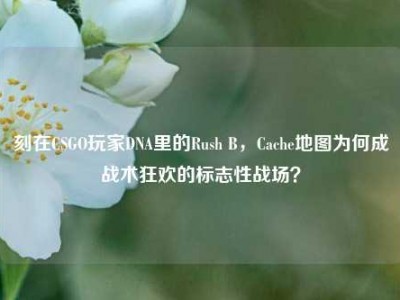 刻在CSGO玩家DNA里的Rush B，Cache地图为何成战术狂欢的标志性战场？