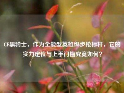 CF黑骑士，作为全能型英雄级步枪标杆，它的实力定位与上手门槛究竟如何？