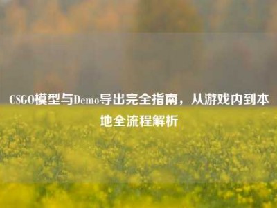 CSGO模型与Demo导出完全指南，从游戏内到本地全流程解析