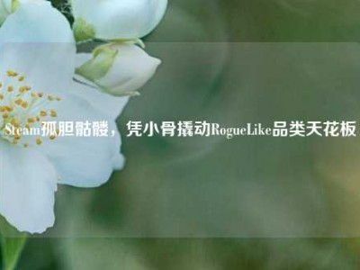 Steam孤胆骷髅，凭小骨撬动RogueLike品类天花板