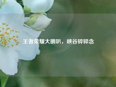 王者荣耀大喇叭，峡谷碎碎念