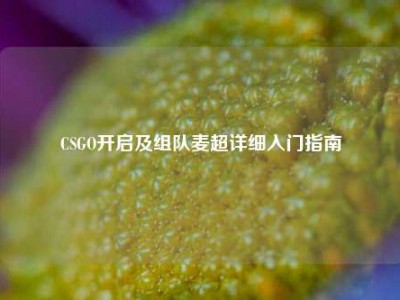 CSGO开启及组队麦超详细入门指南
