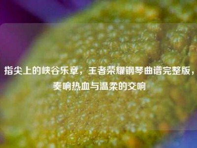 指尖上的峡谷乐章，王者荣耀钢琴曲谱完整版，奏响热血与温柔的交响