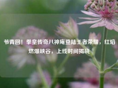 爷青回！拳皇传奇八神庵登陆王者荣耀，红焰燃爆峡谷，上线时间揭晓