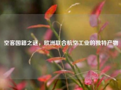 空客国籍之谜，欧洲联合航空工业的独特产物