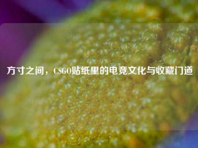 方寸之间，CSGO贴纸里的电竞文化与收藏门道
