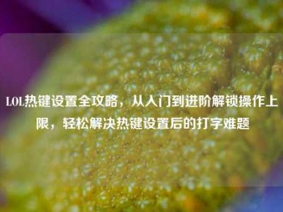 LOL热键设置全攻略，从入门到进阶解锁操作上限，轻松解决热键设置后的打字难题