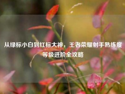 从绿标小白到红标大神，王者荣耀射手熟练度等级进阶全攻略