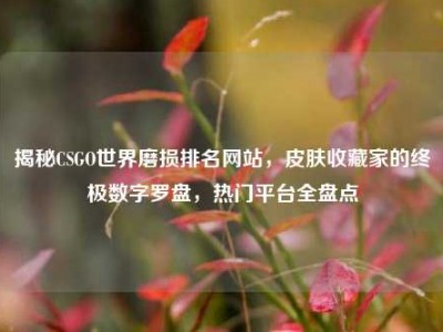 揭秘CSGO世界磨损排名网站，皮肤收藏家的终极数字罗盘，热门平台全盘点