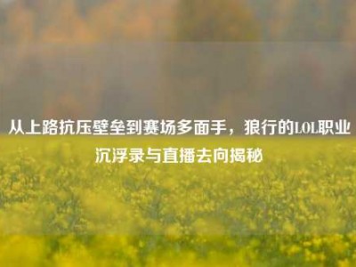从上路抗压壁垒到赛场多面手，狼行的LOL职业沉浮录与直播去向揭秘