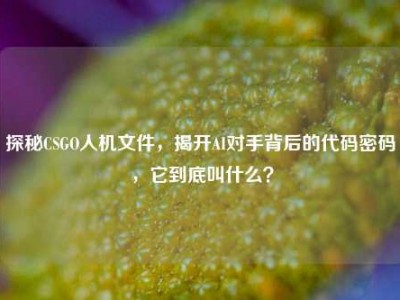 探秘CSGO人机文件，揭开AI对手背后的代码密码，它到底叫什么？