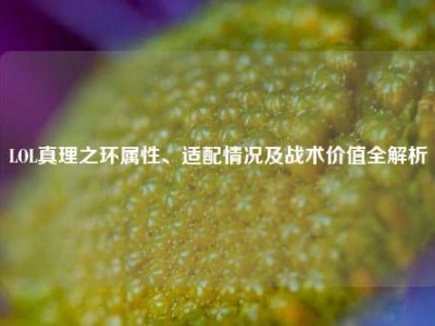 LOL真理之环属性、适配情况及战术价值全解析