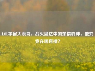 LOL宇宙大表哥，战火魔法中的亲情羁绊，他究竟在哪直播？