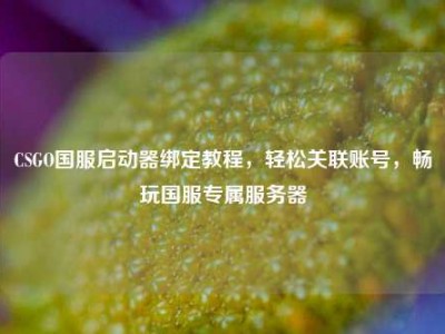 CSGO国服启动器绑定教程，轻松关联账号，畅玩国服专属服务器