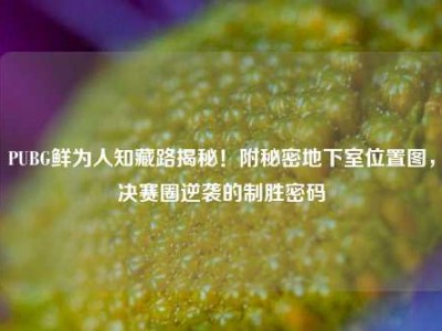 PUBG鲜为人知藏路揭秘！附秘密地下室位置图，决赛圈逆袭的制胜密码