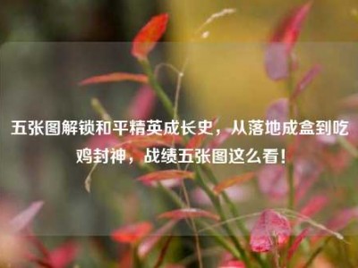 五张图解锁和平精英成长史，从落地成盒到吃鸡封神，战绩五张图这么看！