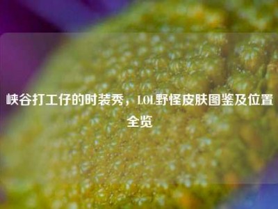峡谷打工仔的时装秀，LOL野怪皮肤图鉴及位置全览