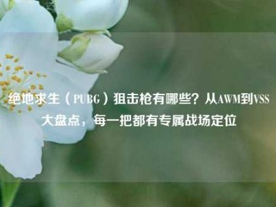 绝地求生（PUBG）狙击枪有哪些？从AWM到VSS大盘点，每一把都有专属战场定位