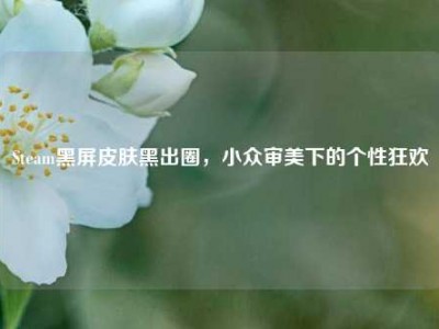 Steam黑屏皮肤黑出圈，小众审美下的个性狂欢
