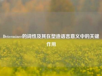 Determiner的词性及其在塑造语言意义中的关键作用