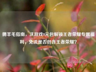 薅羊毛指南，沃游戏9元包解锁王者荣耀专属福利，免流是否包含王者荣耀？