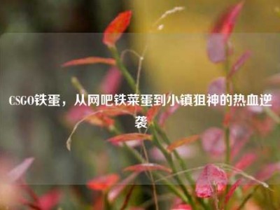 CSGO铁蛋，从网吧铁菜蛋到小镇狙神的热血逆袭