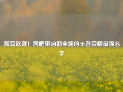 震耳欲聋！网吧里响彻全场的王者荣耀最强名字
