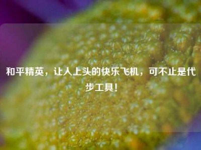 和平精英，让人上头的快乐飞机，可不止是代步工具！