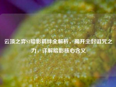 云顶之弈S1暗影羁绊全解析，揭开尘封诅咒之力，详解暗影核心含义