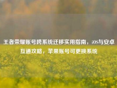 王者荣耀账号跨系统迁移实用指南，iOS与安卓互通攻略，苹果账号可更换系统