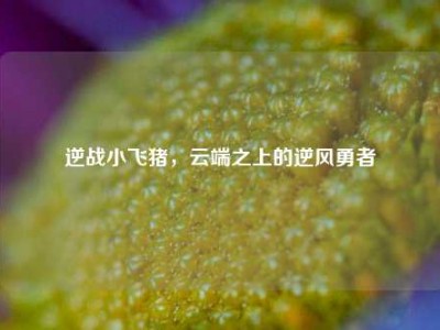 逆战小飞猪，云端之上的逆风勇者
