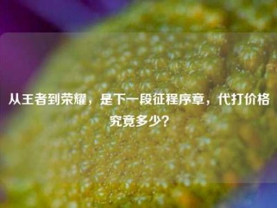 从王者到荣耀，是下一段征程序章，代打价格究竟多少？