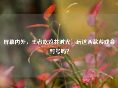 屏幕内外，王者吃鸡共时光，玩这两款游戏会封号吗？