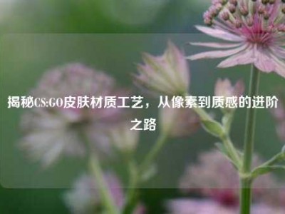 揭秘CS:GO皮肤材质工艺，从像素到质感的进阶之路
