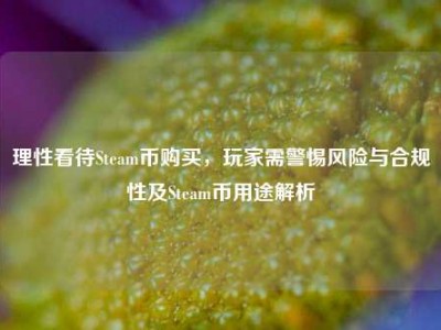 理性看待Steam币购买，玩家需警惕风险与合规性及Steam币用途解析