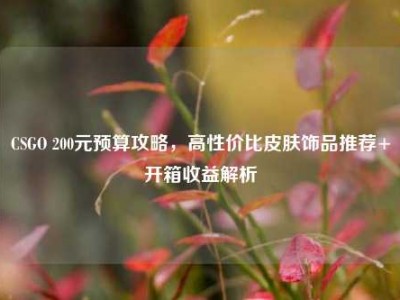 CSGO 200元预算攻略，高性价比皮肤饰品推荐+开箱收益解析