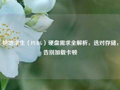 绝地求生（PUBG）硬盘需求全解析，选对存储，告别加载卡顿