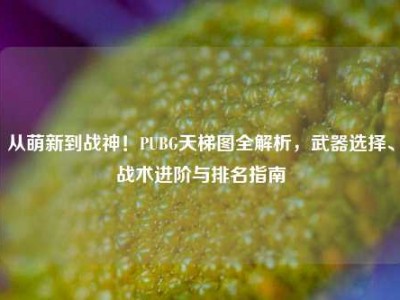从萌新到战神！PUBG天梯图全解析，武器选择、战术进阶与排名指南