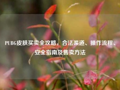 PUBG皮肤买卖全攻略，合法渠道、操作流程、安全指南及售卖方法