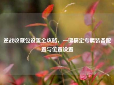逆战收藏包设置全攻略，一键搞定专属装备配置与位置设置