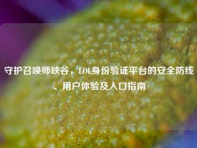 守护召唤师峡谷，LOL身份验证平台的安全防线、用户体验及入口指南