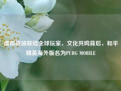 虚拟战场联结全球玩家，文化共鸣背后，和平精英海外版名为PUBG MOBILE