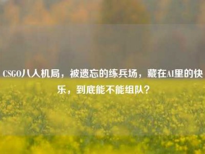 CSGO八人机局，被遗忘的练兵场，藏在AI里的快乐，到底能不能组队？