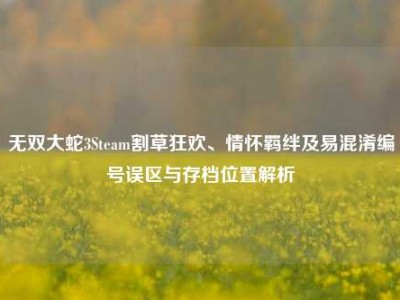 无双大蛇3Steam割草狂欢、情怀羁绊及易混淆编号误区与存档位置解析