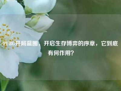 PUBG开局蓝圈，开启生存博弈的序章，它到底有何作用？