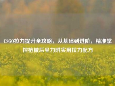 CSGO拉力提升全攻略，从基础到进阶，精准掌控枪械后坐力附实用拉力配方