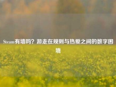 Steam有墙吗？游走在规则与热爱之间的数字困境